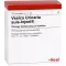 VESICA URINARIA suis-Injeel ampoules, 10 pcs