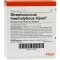 STREPTOCOCCUS HAEMOLYTICUS Injeel ampoules, 10 pcs