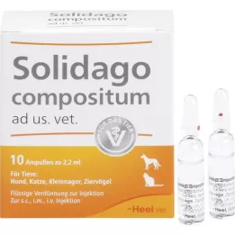 SOLIDAGO COMPOSITUM ad us.vet.ampoules, 10 pcs