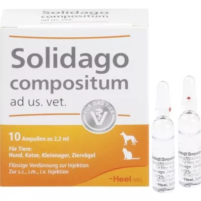 SOLIDAGO COMPOSITUM ad us.vet.ampoules, 10 pcs SOLIDAGO COMPOSITUM ad us.vet.ampoules, 10 pcs
