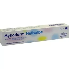 MYKODERM Healing ointment Nystatin and zinc oxide, 50 g