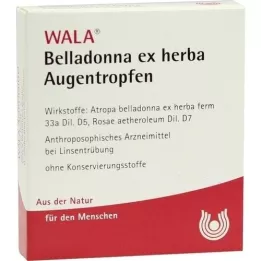 BELLADONNA EX HERBA Eye drops, 5X0.5 ml