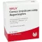 CORNEA Levisticum comp.eye drops, 30X0.5 ml
