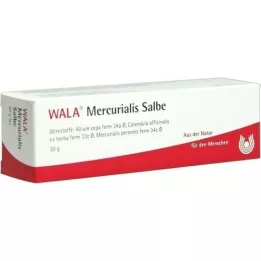 MERCURIALIS OINTMENT, 30 g