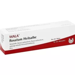 ROSATUM Healing ointment, 30 g