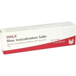 RHUS TOXICODENDRON OINTMENT, 30 g