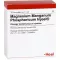 MAGNESIUM MANGANUM phosphoricum Injeel ampoules, 10 pcs