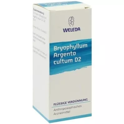 BRYOPHYLLUM ARGENTO cultum D 2 dilution, 50 ml BRYOPHYLLUM ARGENTO cultum D 2 dilution, 50 ml