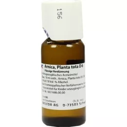 ARNICA PLANTA tota D 6 dilution, 50 ml
