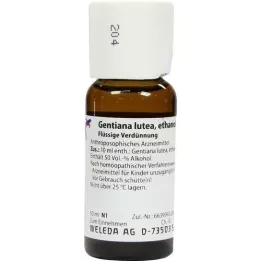 GENTIANA LUTEA D 1 dilution, 50 ml