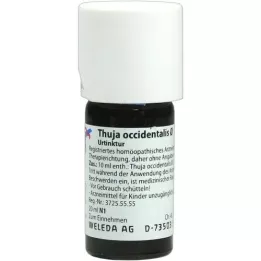 THUJA OCCIDENTALIS Mother tincture, 20 ml