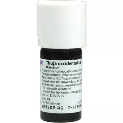 THUJA OCCIDENTALIS Mother tincture, 20 ml