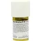 CARBO BETULAE D 20 Trituration, 20 g