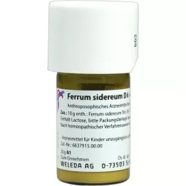 FERRUM SIDEREUM D 6 Trituration, 20 g