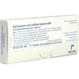 EQUISETUM CUM Sulfure tostum D 6 ampoules, 8X1 ml