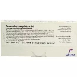 FERRUM HYDROXYDATUM D 6 ampoules, 8X1 ml
