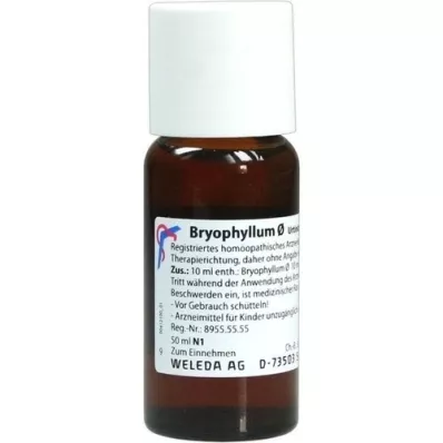 BRYOPHYLLUM Mother tincture, 50 ml