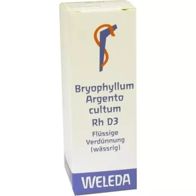 BRYOPHYLLUM ARGENTO cultum Rh D 3 Dilution, 20 ml