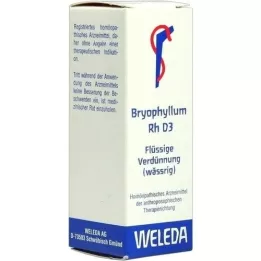 BRYOPHYLLUM RH D 3 dilution, 20 ml