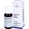 GENTIANA LUTEA RH Pressed juice 5% mixture, 20 ml