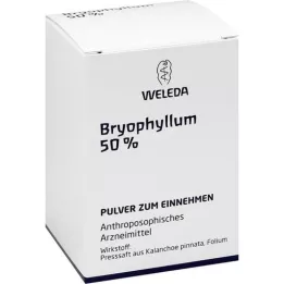 BRYOPHYLLUM 50% oral powder, 50g