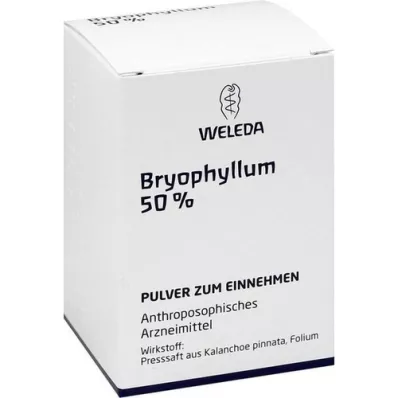 BRYOPHYLLUM 50% oral powder, 50g