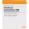 CEREBRUM COMPOSITUM NM Ampoules, 10 pcs