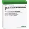CHELIDONIUM-HOMACCORD N ampoules, 10 pcs