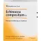 ECHINACEA COMPOSITUM SN Ampoules, 10 pcs