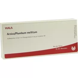ARNICA/PLUMBUM /Mellitum ampoules, 10X1 ml