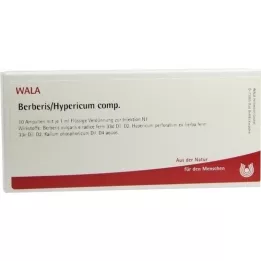 BERBERIS/HYPERICUM comp. ampoules, 10X1 ml