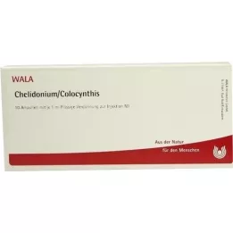 CHELIDONIUM/COLOCYNTHIS Ampoules, 10X1 ml
