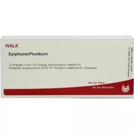 EPIPHYSIS/PLUMBUM Ampoules, 10X1 ml