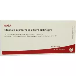GLANDULA SUPRARENALIS sinistra cum Cupro ampoules, 10X1 ml