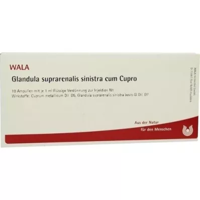 GLANDULA SUPRARENALIS sinistra cum Cupro ampoules, 10X1 ml