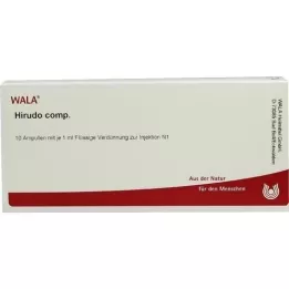 HIRUDO COMP.Ampoules, 10X1 ml