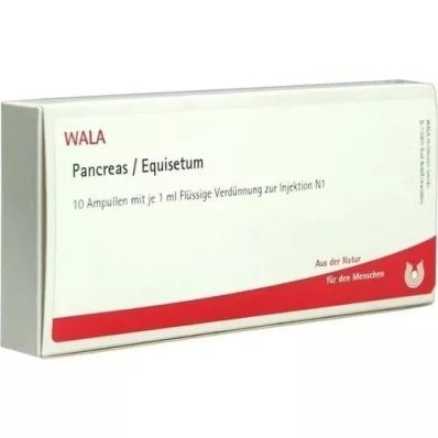 PANCREAS/EQUISETUM Ampoules, 10X1 ml PANCREAS/EQUISETUM Ampoules, 10X1 ml