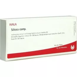 SILICEA COMP.Ampoules, 10X1 ml