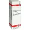 ARNICA D 4 dilution, 20 ml