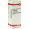 BERBERIS D 6 Dilution, 20 ml