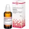 BERBERIS D 4 dilution, 50 ml