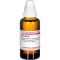 BERBERIS D 4 dilution, 50 ml