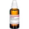 BERBERIS D 6 Dilution, 50 ml
