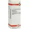 BRYONIA D 4 dilution, 20 ml