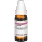 CACTUS D 2 Dilution, 20 ml