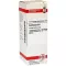 COLCHICUM D6 dilution, 20 ml