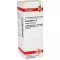 COLOCYNTHIS D 4 dilution, 20 ml