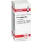 COLOCYNTHIS D 6 globules, 10 g
