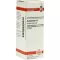 HAMAMELIS D 2 Dilution, 20 ml