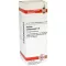 KALIUM BICHROMICUM D 12 Dilution, 20 ml